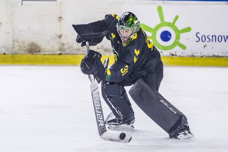 Ice Hockey. PHL. Zaglebie Sosnowiec - GKS Katowice. 20.02.2022