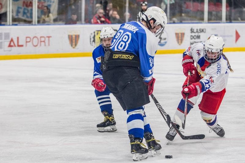 Ice Hockey. PLHK. Polonia Bytom - Stoczniowiec Gdansk. 19.03.2022