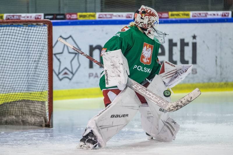 Ice Hockey. Poland national team. Training. 31.03.2022