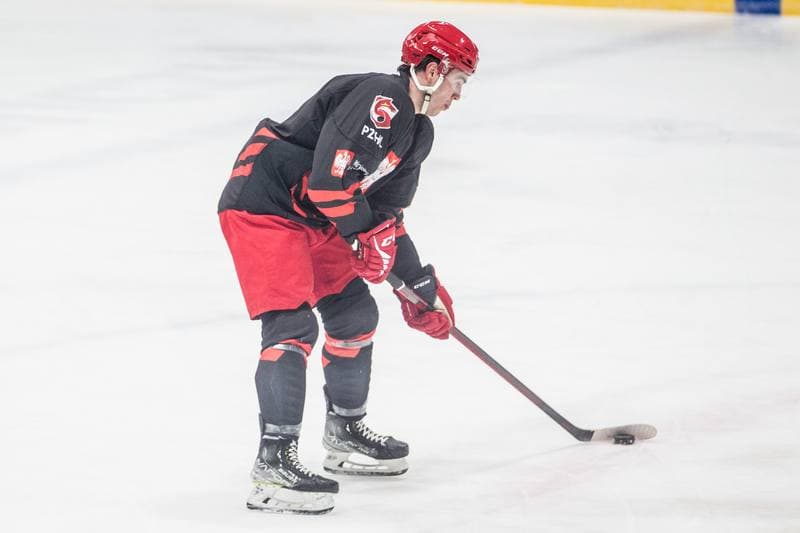 Ice Hockey. Poland national team. Training. 06.04.2022