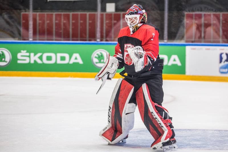 Ice Hockey. World Championship Division 1 Group B. Japan - Estonia. 28.04.2022