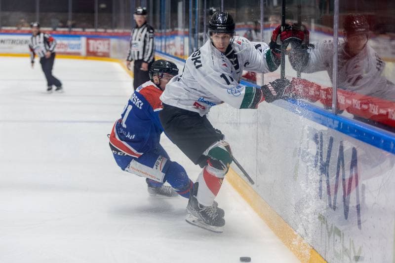Ice Hockey. Polska Hokej Liga. GKS Tychy - Marma Ciarko STS Sanok. 04.11.2022