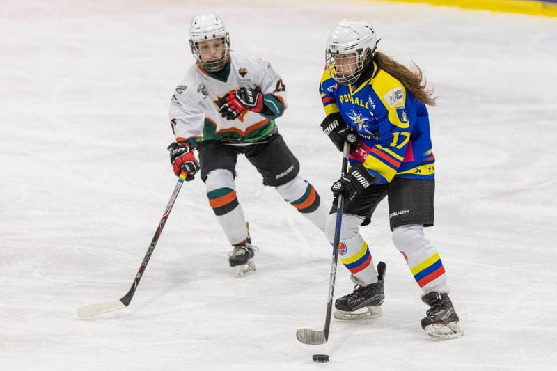 Ice Hockey. PLHK. Kojotki Naprzod Janow - MMKS Podhale Nowy Targ. 12.11.2022