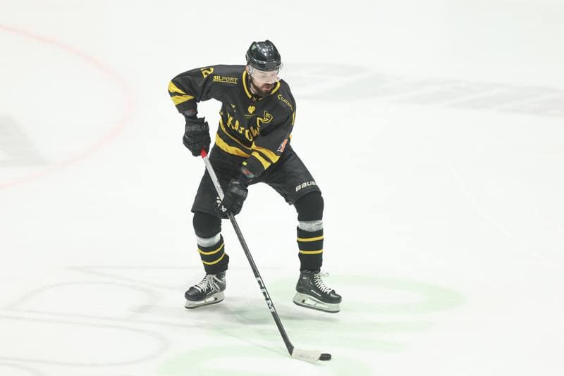 Ice Hockey. Tauron Hokej Liga. Re-Plast Unia Oswiecim - GKS Katowice. 07.04.2024