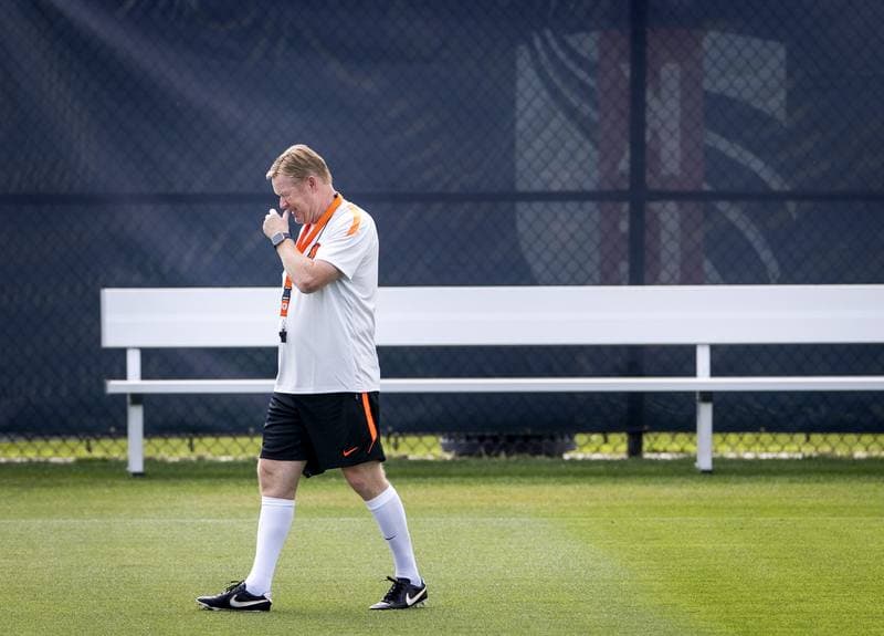 Football. Netherlands. Training. 13.06.2026