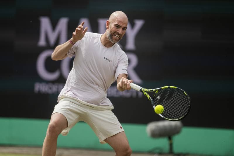 Tennis. Libema Open. Ajla Tomljanovic - Robin Montgomery. 13.06.2026
