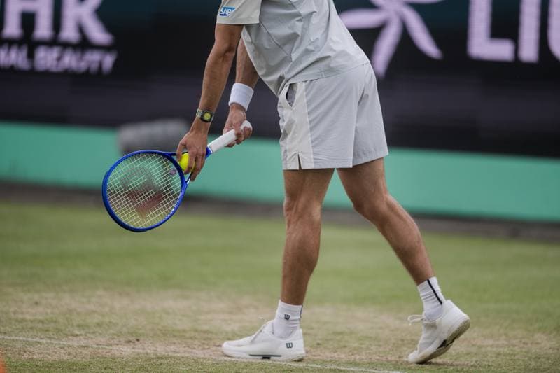 Tennis. Libema Open. Ajla Tomljanovic - Robin Montgomery. 13.06.2026