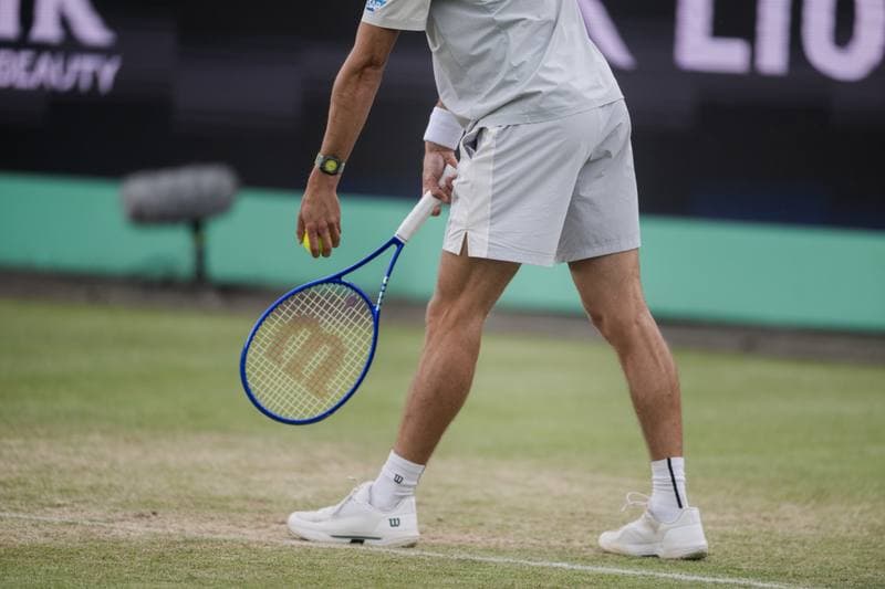 Tennis. Libema Open. Ajla Tomljanovic - Robin Montgomery. 13.06.2026