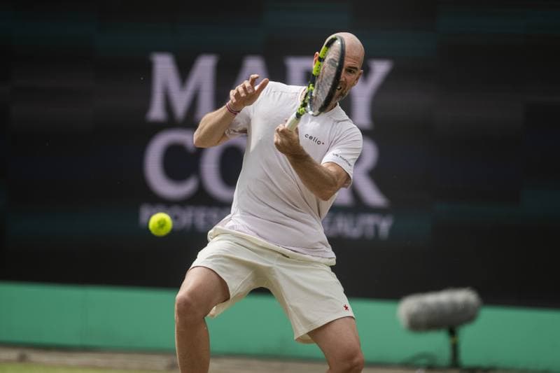 Tennis. Libema Open. Ajla Tomljanovic - Robin Montgomery. 13.06.2026