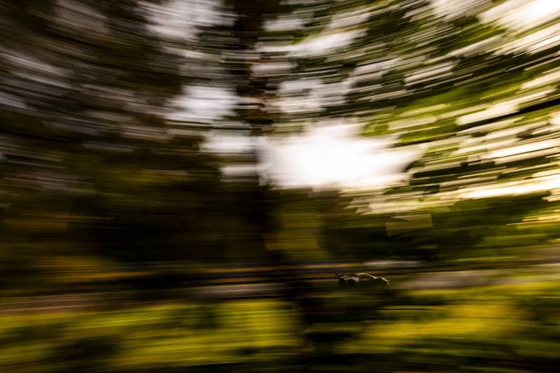 Motorsport. 24 Hours of Le Mans. 14.06.2026