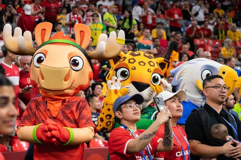 Football. FIFA World Cup 2026. Australia - Turkey. 14.06.2026