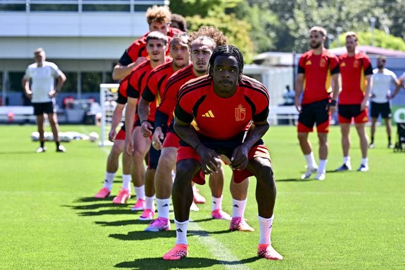 Football. FIFA World Cup 2026. Belgium - Egypt. Pre-Match Press Conference. 14.06.2026