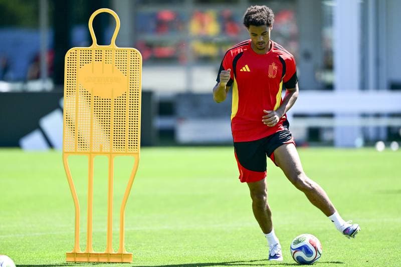 Football. FIFA World Cup 2026. Belgium - Egypt. Pre-Match Press Conference. 14.06.2026