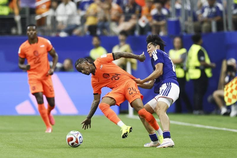 Football. FIFA World Cup. Netherlands - Japan. 14.06.2026