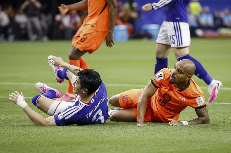 Football. FIFA World Cup. Netherlands - Japan. 14.06.2026