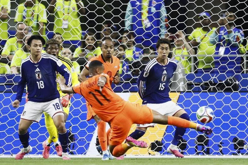 Football. FIFA World Cup. Netherlands - Japan. 14.06.2026