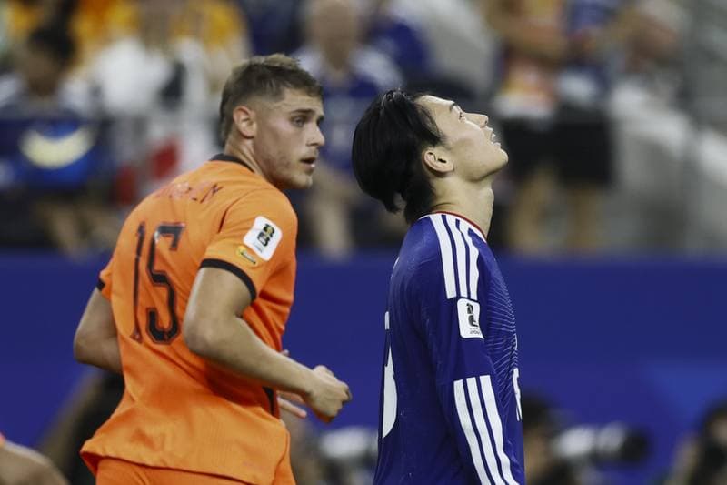 Football. FIFA World Cup. Netherlands - Japan. 14.06.2026