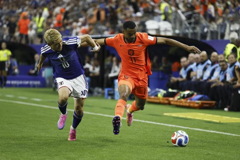Football. FIFA World Cup. Netherlands - Japan. 14.06.2026