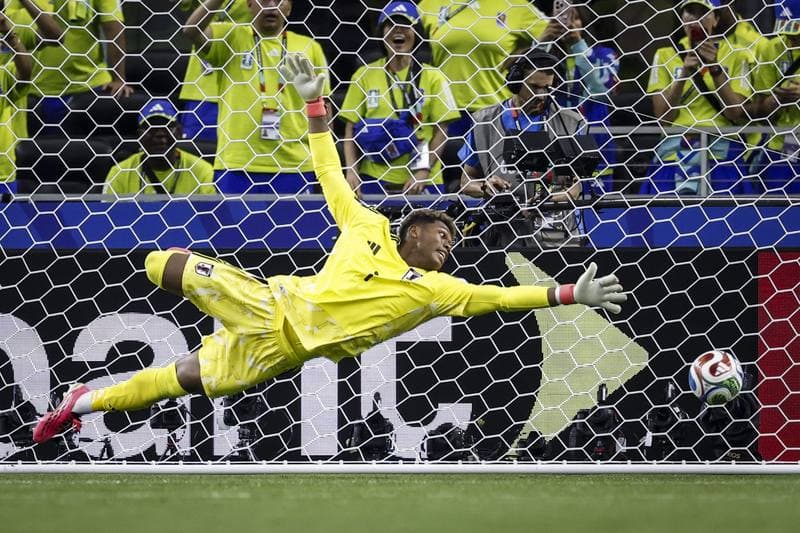 Football. FIFA World Cup. Netherlands - Japan. 14.06.2026