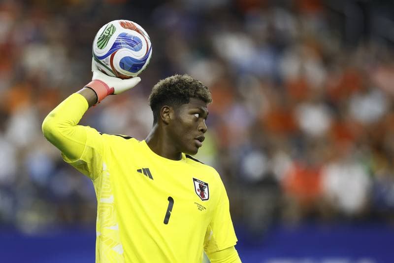 Football. FIFA World Cup. Netherlands - Japan. 14.06.2026