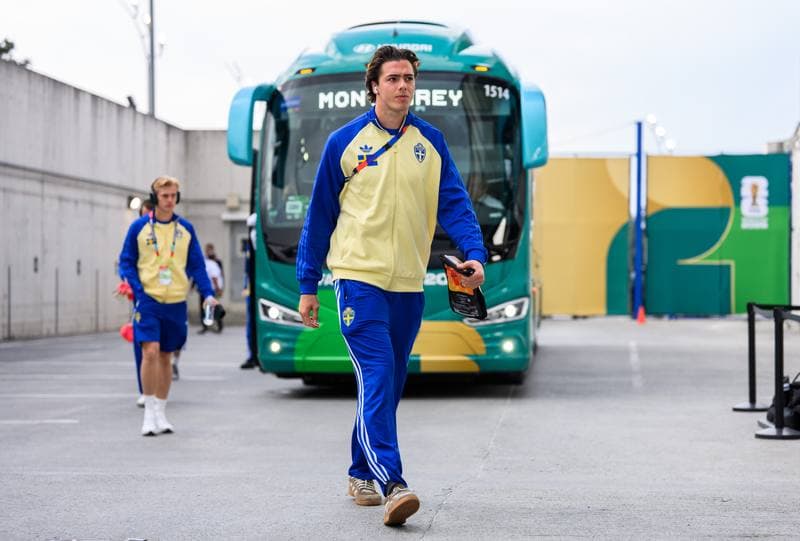 Football. FIFA World Cup 2026. Sweden - Tunisia. 15.06.2026