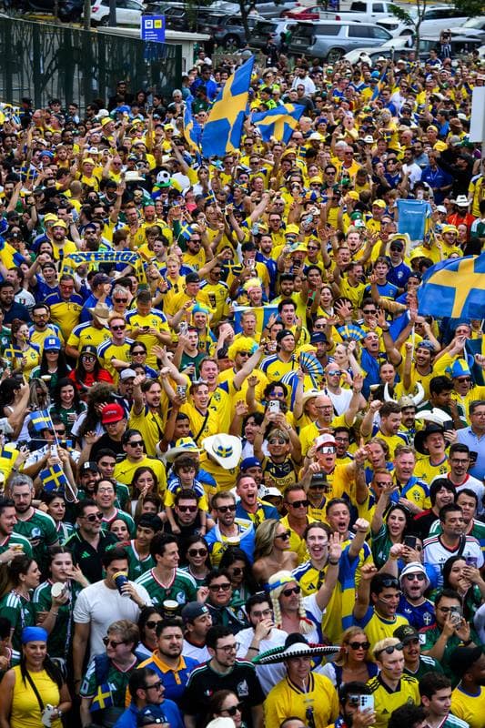 Football. FIFA World Cup 2026. Sweden - Tunisia. 15.06.2026