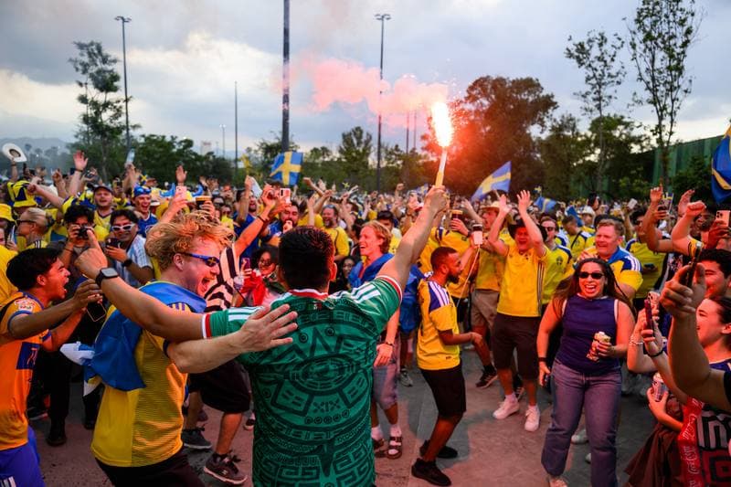 Football. FIFA World Cup 2026. Sweden - Tunisia. 15.06.2026
