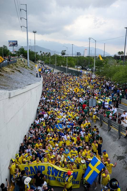 Football. FIFA World Cup 2026. Sweden - Tunisia. 15.06.2026