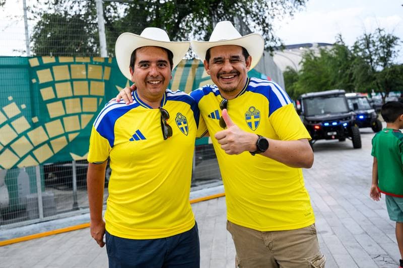 Football. FIFA World Cup 2026. Sweden - Tunisia. 15.06.2026