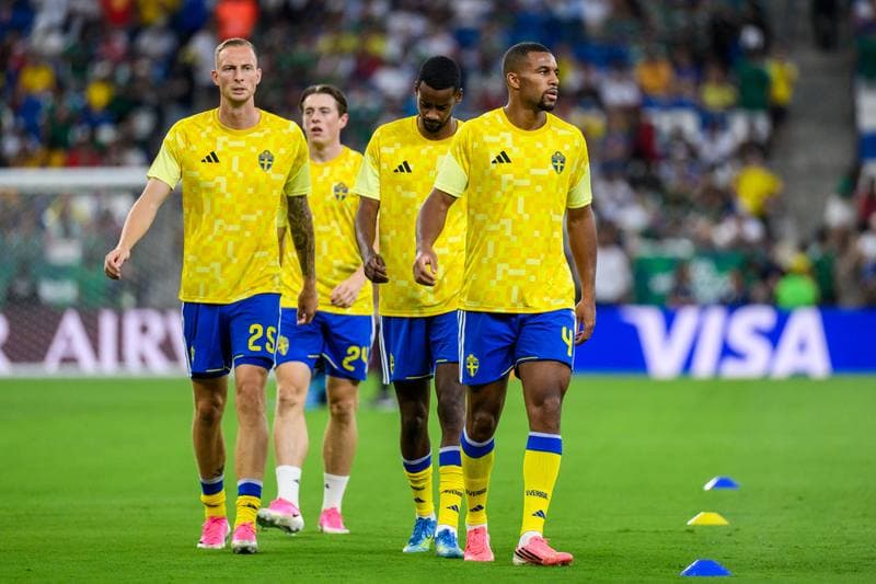 Football. FIFA World Cup 2026. Sweden - Tunisia. 15.06.2026