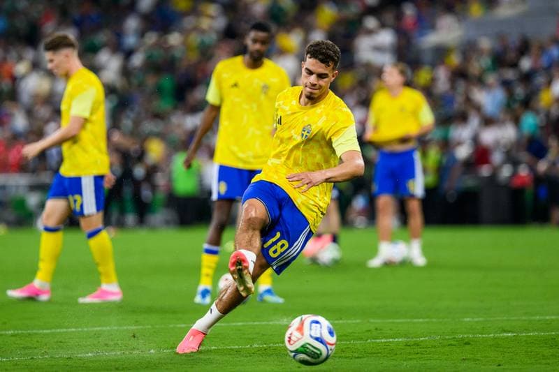 Football. FIFA World Cup 2026. Sweden - Tunisia. 15.06.2026