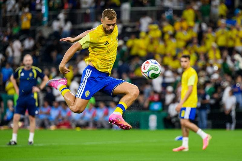 Football. FIFA World Cup 2026. Sweden - Tunisia. 15.06.2026