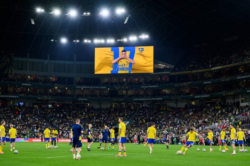 Football. FIFA World Cup 2026. Sweden - Tunisia. 15.06.2026