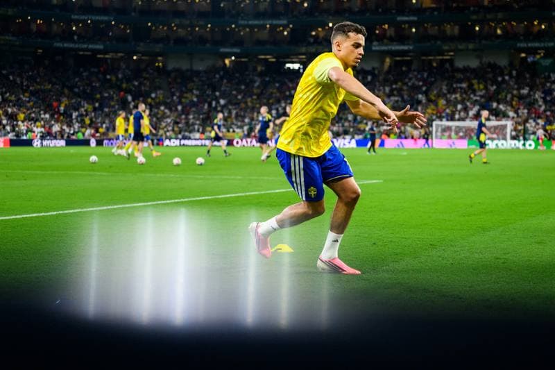 Football. FIFA World Cup 2026. Sweden - Tunisia. 15.06.2026