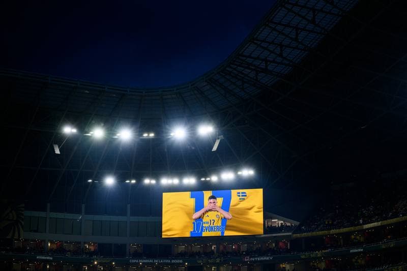 Football. FIFA World Cup 2026. Sweden - Tunisia. 15.06.2026