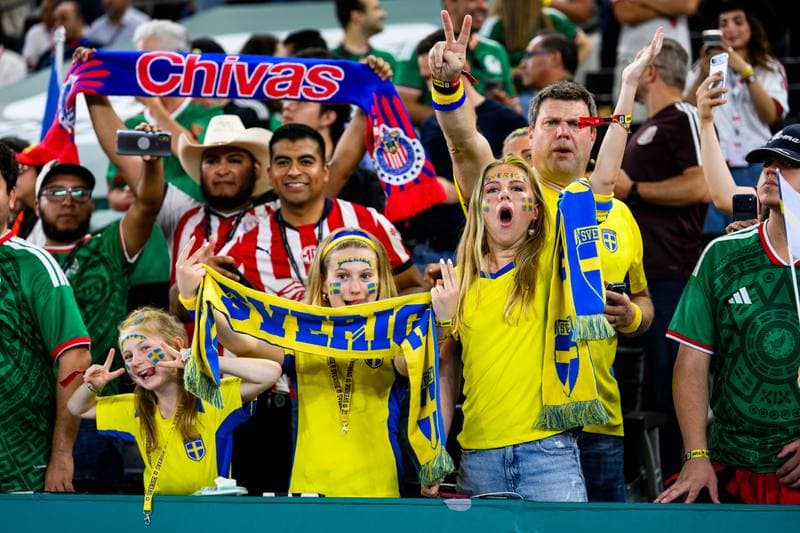 Football. FIFA World Cup 2026. Sweden - Tunisia. 15.06.2026