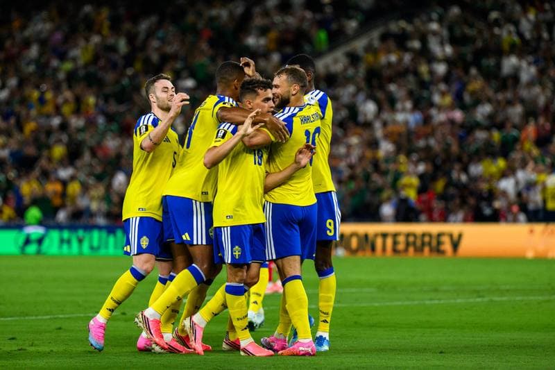 Football. FIFA World Cup 2026. Sweden - Tunisia. 15.06.2026