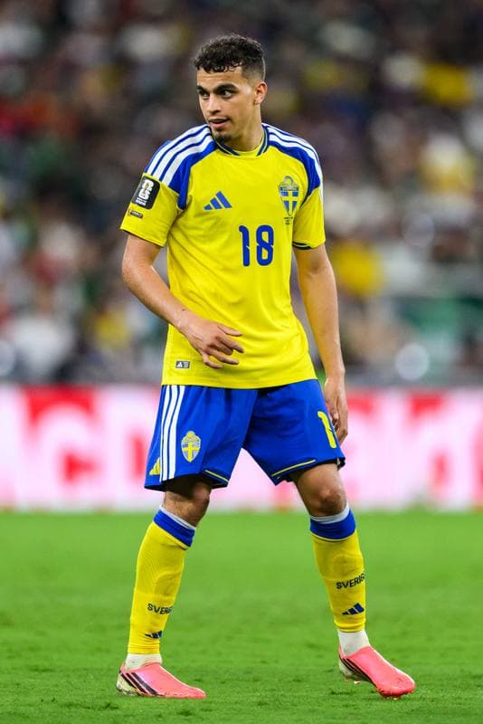 Football. FIFA World Cup 2026. Sweden - Tunisia. 15.06.2026