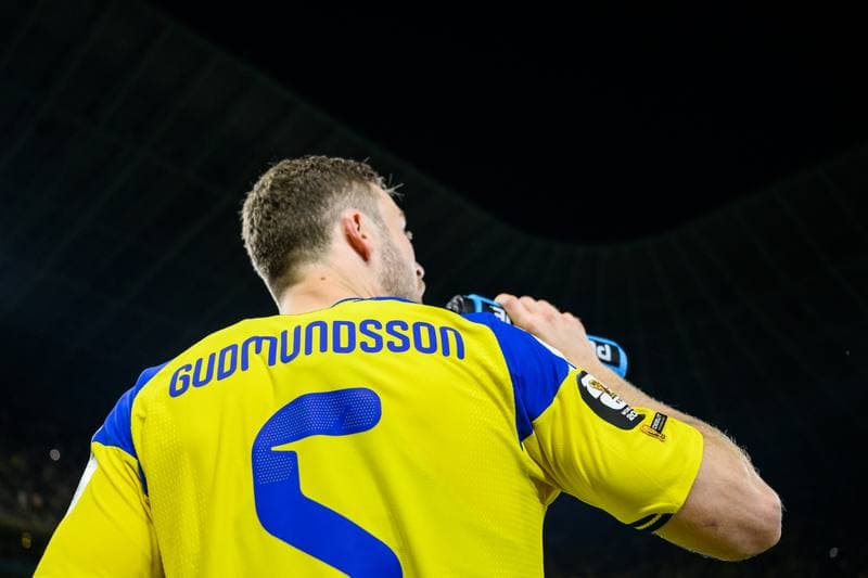 Football. FIFA World Cup 2026. Sweden - Tunisia. 15.06.2026