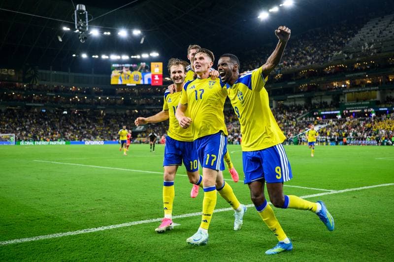 Football. FIFA World Cup 2026. Sweden - Tunisia. 15.06.2026