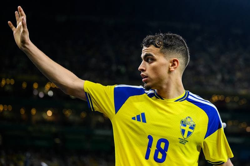 Football. FIFA World Cup 2026. Sweden - Tunisia. 15.06.2026