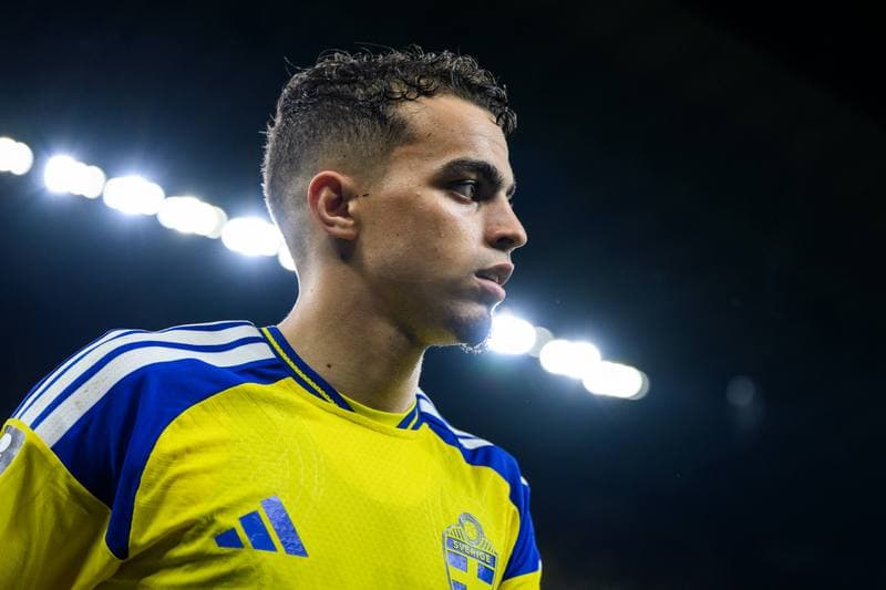 Football. FIFA World Cup 2026. Sweden - Tunisia. 15.06.2026