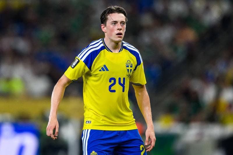 Football. FIFA World Cup 2026. Sweden - Tunisia. 15.06.2026