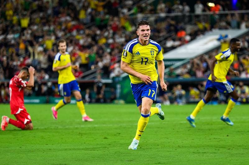 Football. FIFA World Cup 2026. Sweden - Tunisia. 15.06.2026