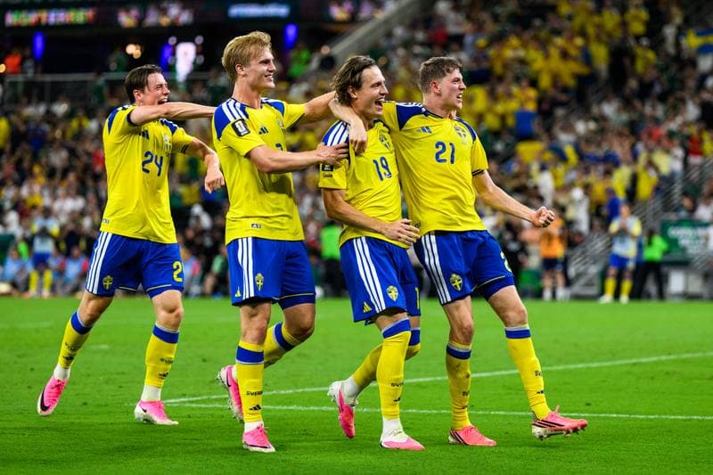 Football. FIFA World Cup 2026. Sweden - Tunisia. 15.06.2026