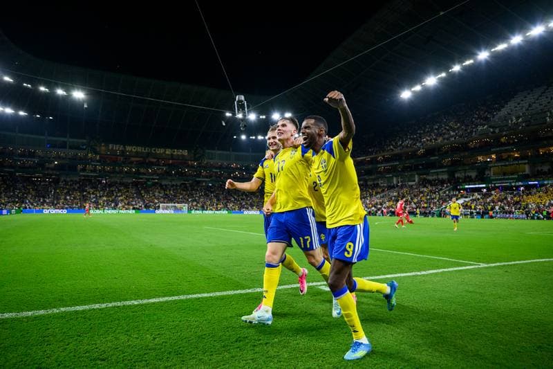 Football. FIFA World Cup 2026. Sweden - Tunisia. 15.06.2026