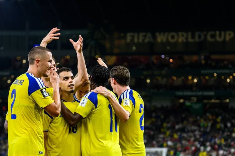 Football. FIFA World Cup 2026. Sweden - Tunisia. 15.06.2026