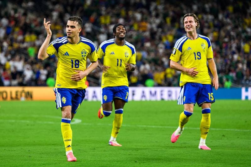 Football. FIFA World Cup 2026. Sweden - Tunisia. 15.06.2026
