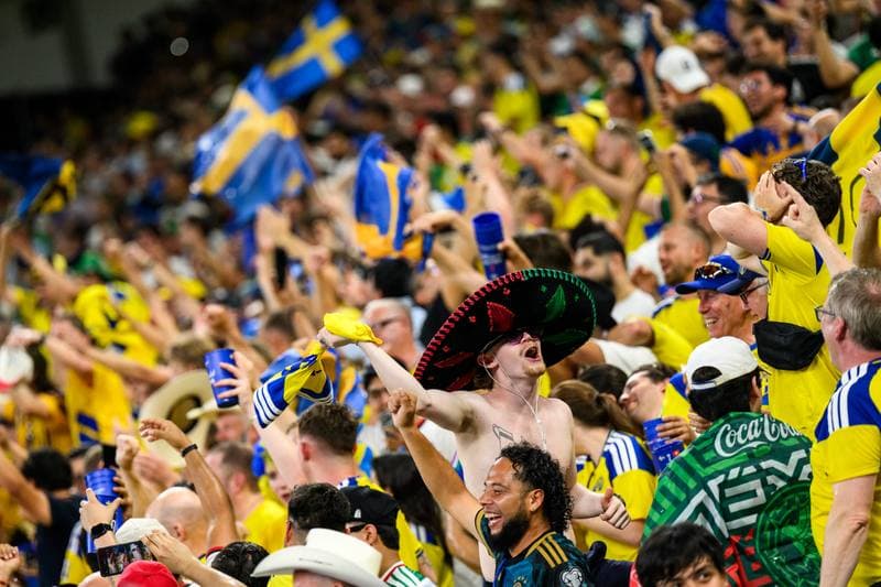 Football. FIFA World Cup 2026. Sweden - Tunisia. 15.06.2026