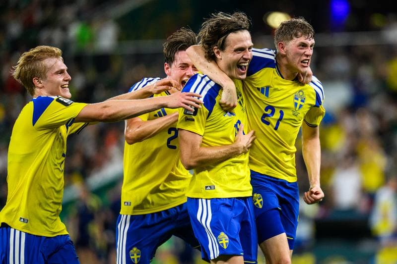 Football. FIFA World Cup 2026. Sweden - Tunisia. 15.06.2026